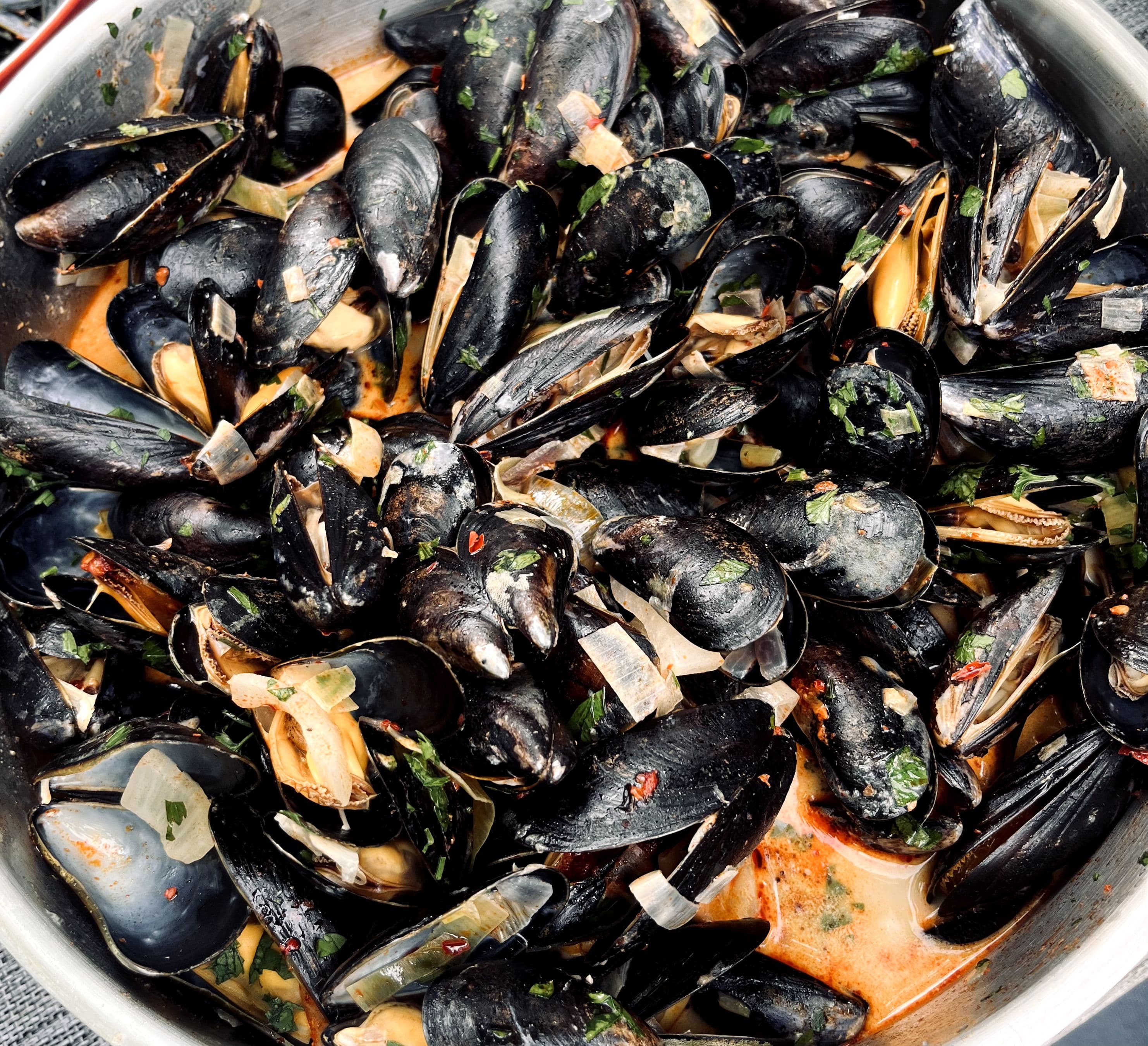 Mossels met nduja, kokosmelk, venkel en friet